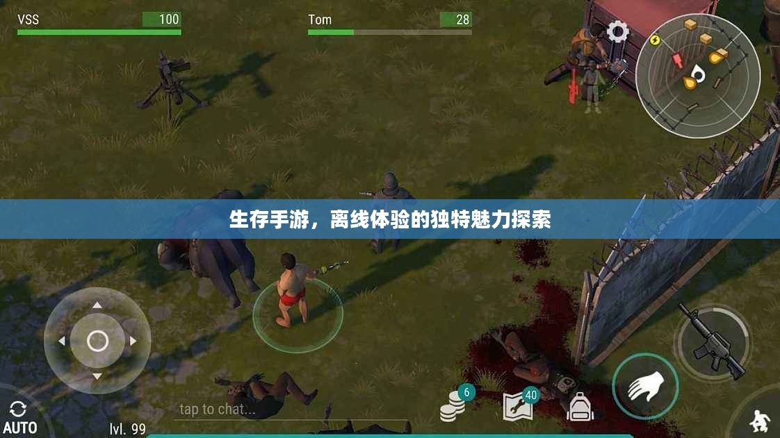 生存手游，离线体验的独特魅力探索