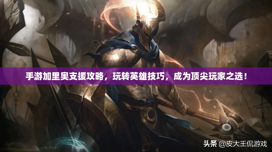 手游加里奥支援攻略，玩转英雄技巧，成为顶尖玩家之选！