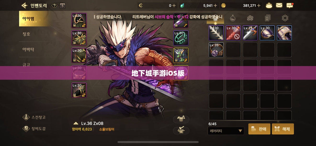 玩转地下城手游iOS版，攻略秘籍与技巧分享