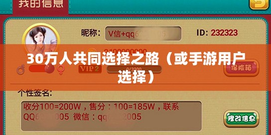 手游热潮,30万人的共同选择之路 手游热潮,30万人的共同选择之路