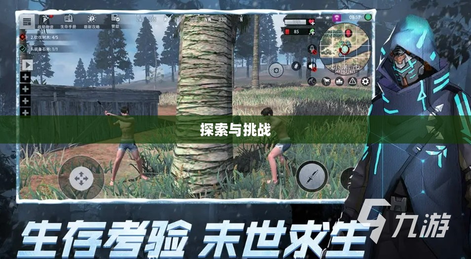 生存手游，离线独立体验的乐趣与挑战探索
