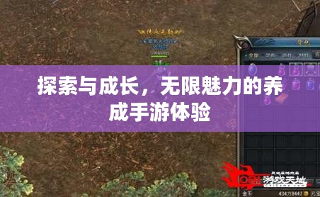 探索与成长,无限魅力的养成手游体验 探索与成长,无限魅力的养成手游体验