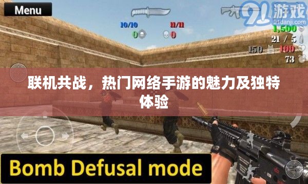 联机共战，热门网络手游的魅力及独特体验