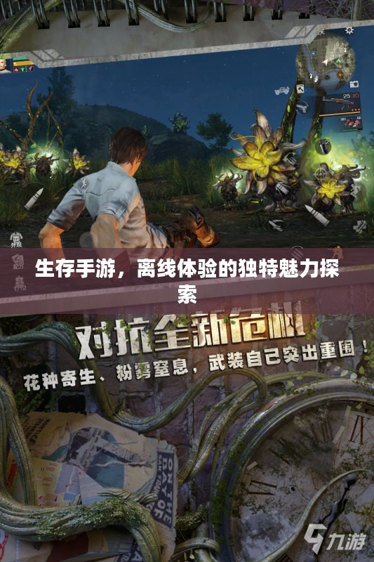 生存手游，离线体验的独特魅力探索