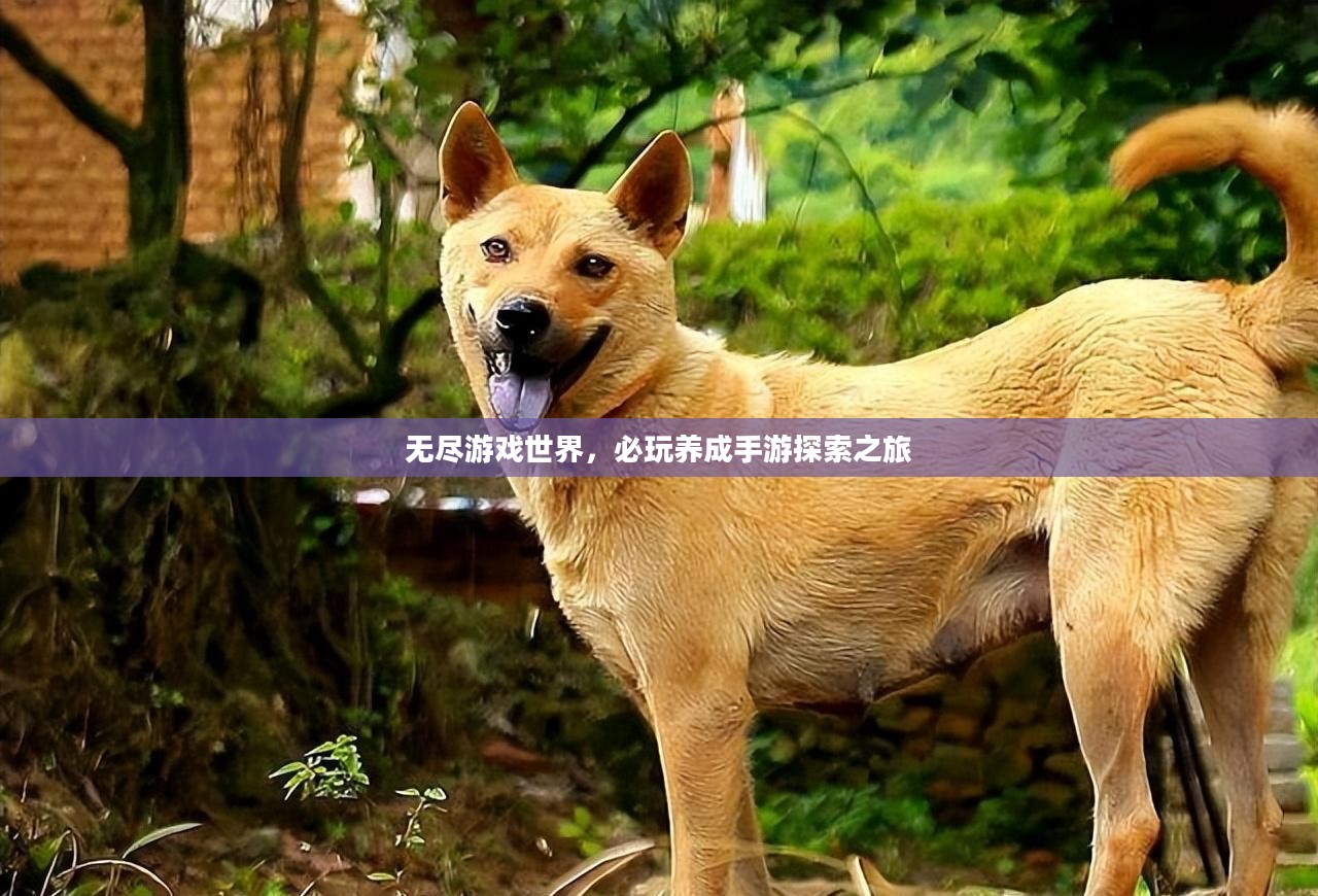 无尽游戏世界,必玩养成手游探索之旅 无尽游戏世界,必玩养成手游探索之旅