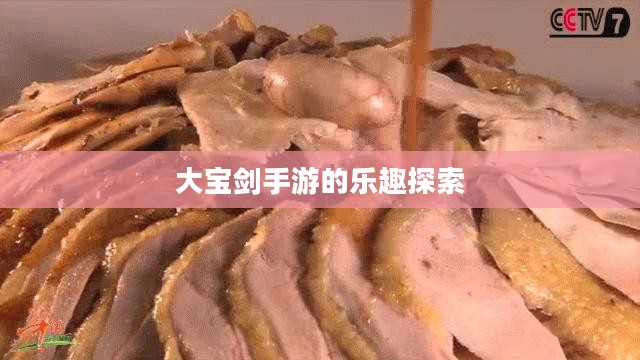 神秘世界探险之旅，大宝剑手游的乐趣探索
