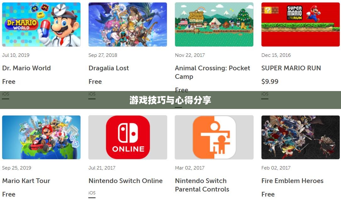 新人任天堂手游端游攻略指南，玩转游戏技巧与心得分享