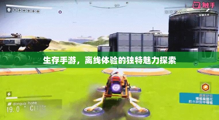 生存手游，离线体验的独特魅力探索
