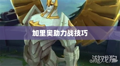 手游加里奥支援攻略，玩转英雄之道之加里奥助力战技巧