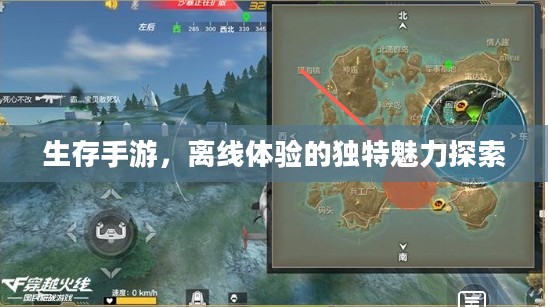 生存手游,离线体验的独特魅力探索 生存手游,离线体验的独特魅力探索