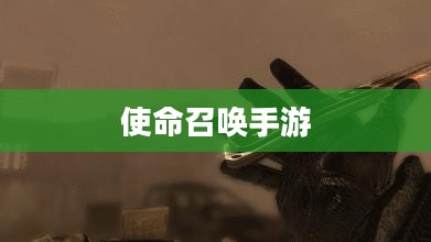 苹果XS Max体验使命召唤手游游戏盛宴