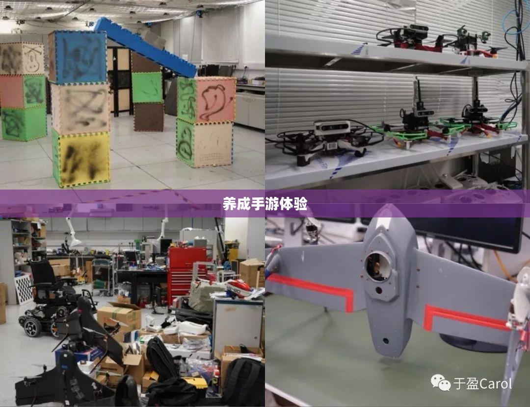 探索与成长，无限魅力的养成手游体验