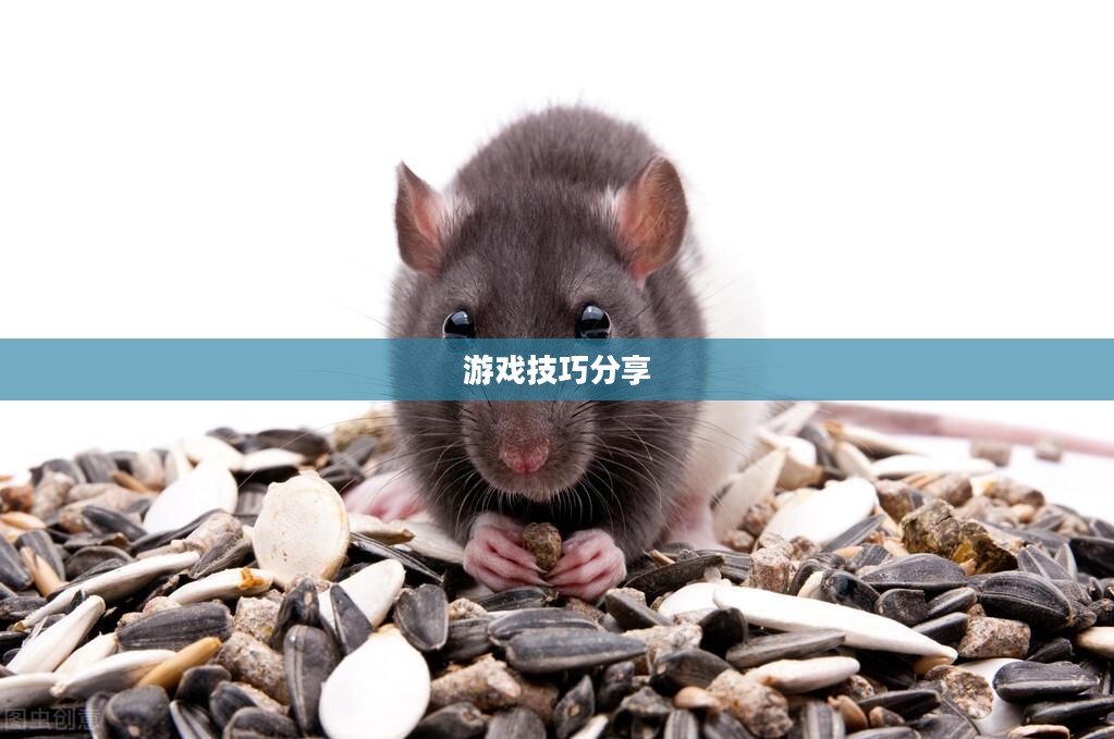 间谍老鼠手游攻略详解与游戏技巧分享，玩转间谍老鼠手游！