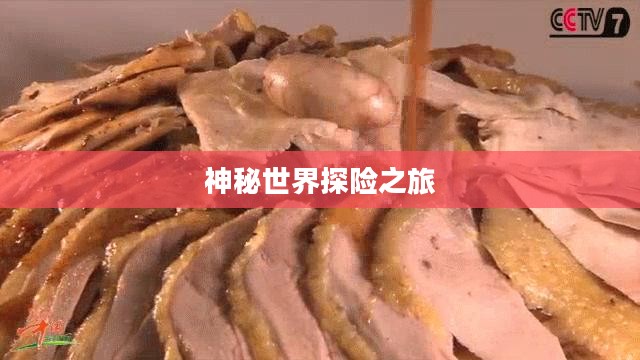 神秘世界探险之旅，大宝剑手游的乐趣探索