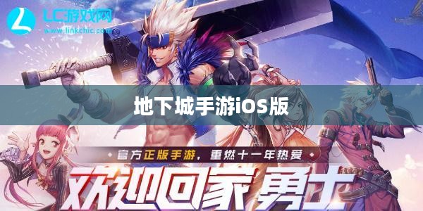 玩转地下城手游iOS版,攻略秘籍与技巧分享 玩转地下城手游iOS版,攻略秘籍与技巧分享