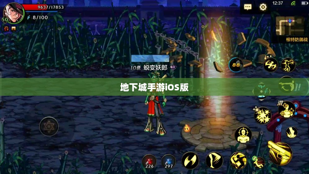 玩转地下城手游iOS版，攻略秘籍与技巧分享