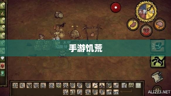 手游饥荒，长期生存策略与提示解析卡