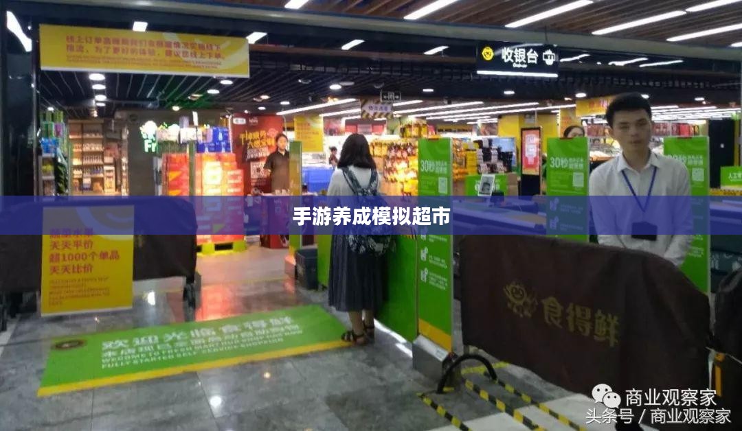 手游养成模拟超市，游戏攻略与玩法全面解析