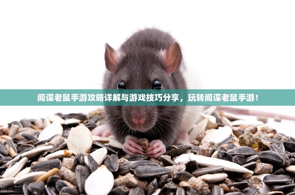 间谍老鼠手游攻略详解与游戏技巧分享,玩转间谍老鼠手游! 间谍老鼠手游攻略详解与游戏技巧分享,玩转间谍老鼠手游!