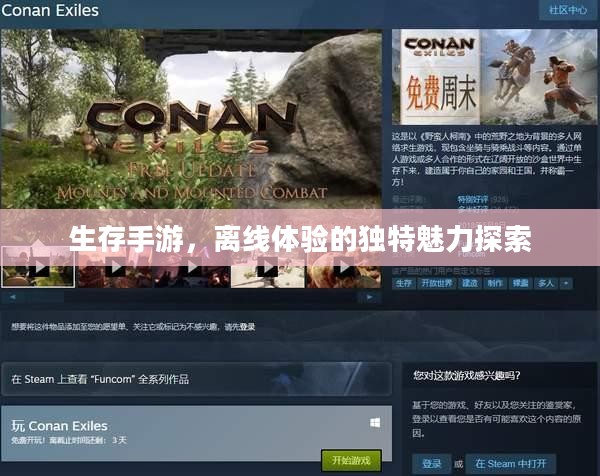 生存手游，离线体验的独特魅力探索