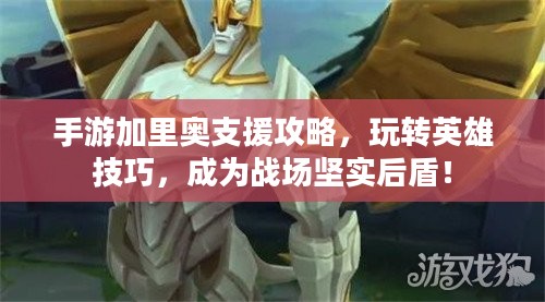 手游加里奥支援攻略，玩转英雄技巧，成为战场坚实后盾！