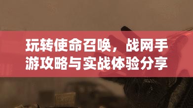 玩转使命召唤，战网手游攻略与实战体验分享
