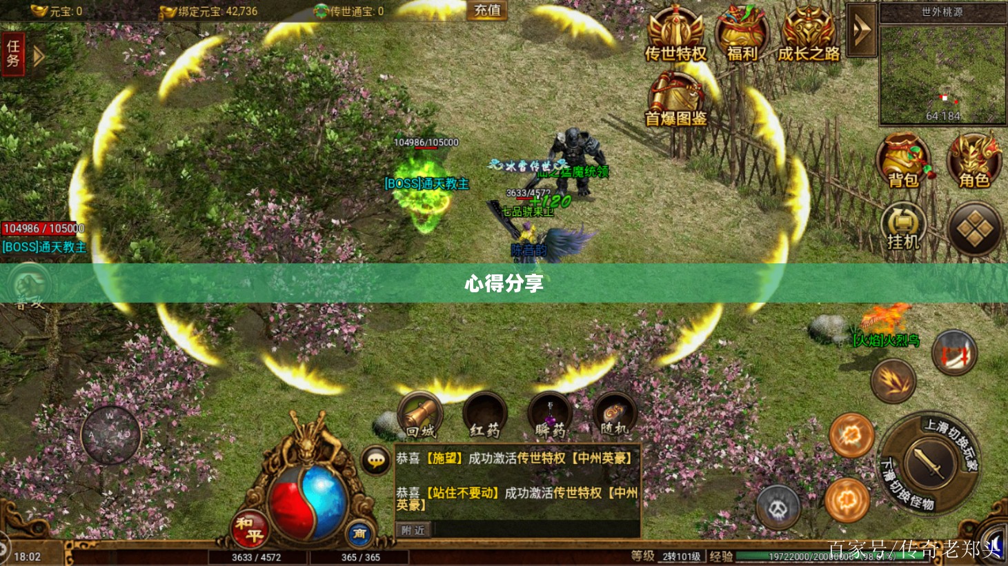 传奇手游攻略指南与心得分享，如何玩转手游传奇？