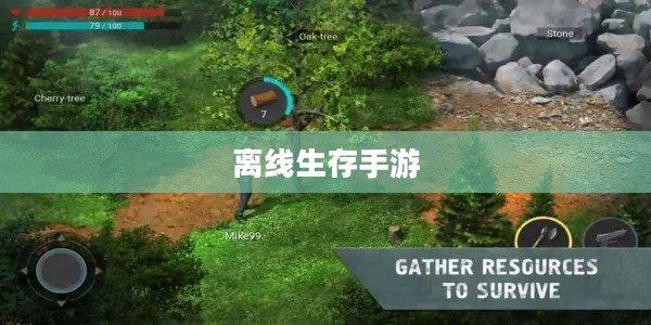 离线生存手游,独立体验的乐趣,无需网络连接的冒险之旅 离线生存手游,独立体验的乐趣,无需网络连接的冒险之旅