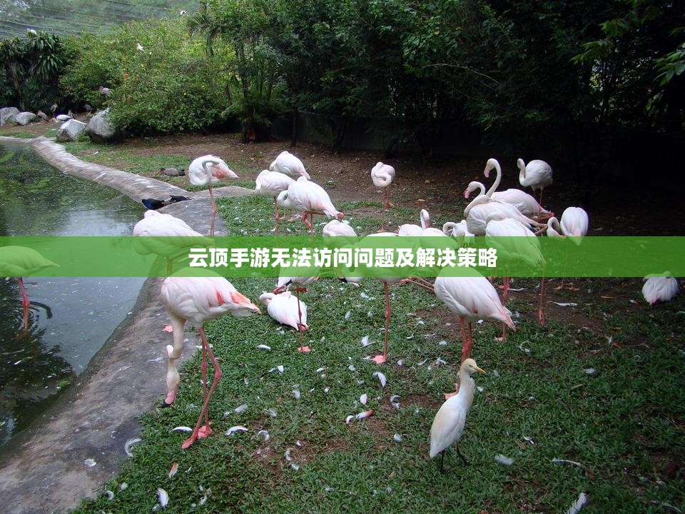 云顶手游无法访问问题及解决策略