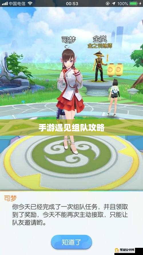 手游遇见组队攻略,策略与技巧深度解析 手游遇见组队攻略,策略与技巧深度解析