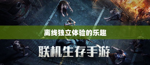 生存手游，离线独立体验的乐趣探索