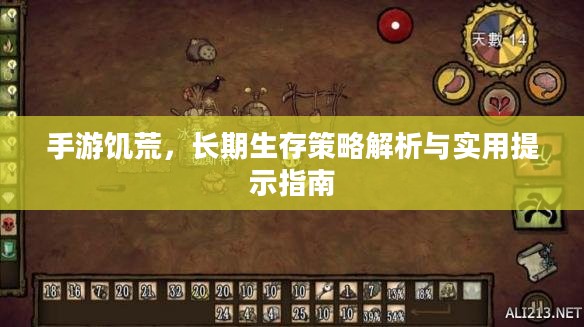 手游饥荒，长期生存策略解析与实用提示指南