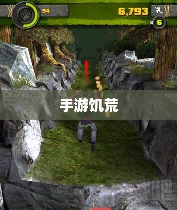 手游饥荒，长期生存策略解析与实用提示指南