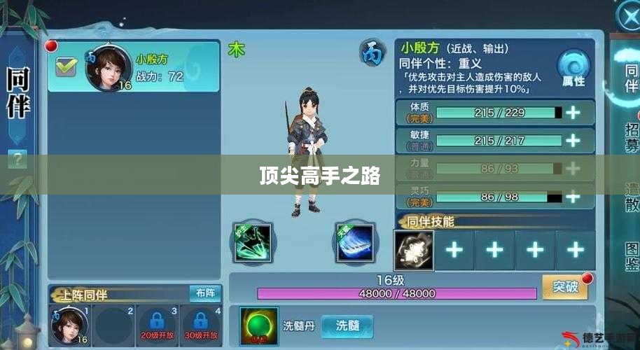 剑侠情缘手游花城攻略大全，玩转花城，成就顶尖高手之路