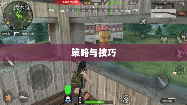 枪战对线手游攻略大全，策略与技巧详解