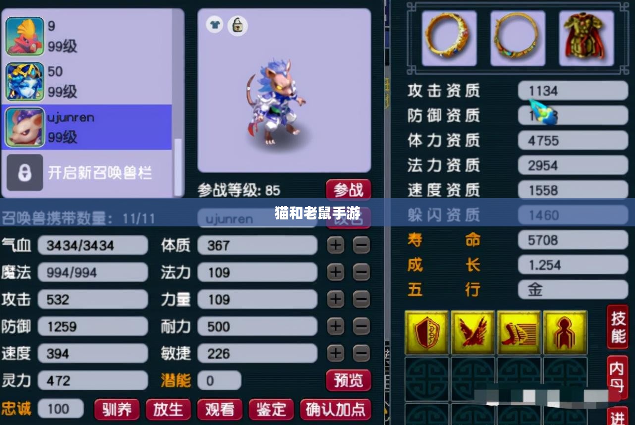 猫和老鼠手游梦幻攻略，玩转游戏技巧全解析