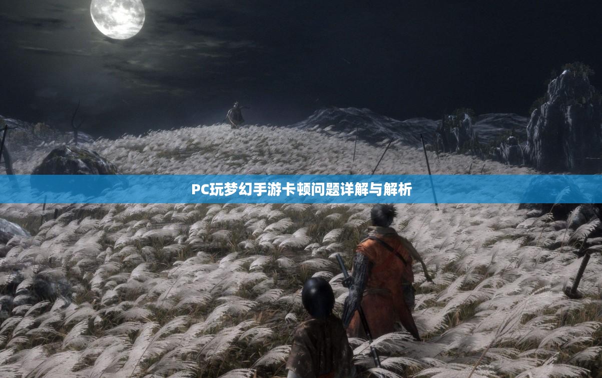 PC玩梦幻手游卡顿问题详解与解析
