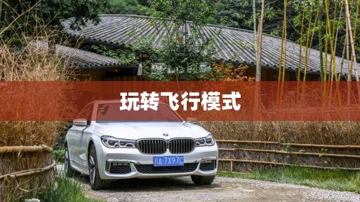 完美世界手游飞行系统攻略,玩转飞行模式 完美世界手游飞行系统攻略,玩转飞行模式
