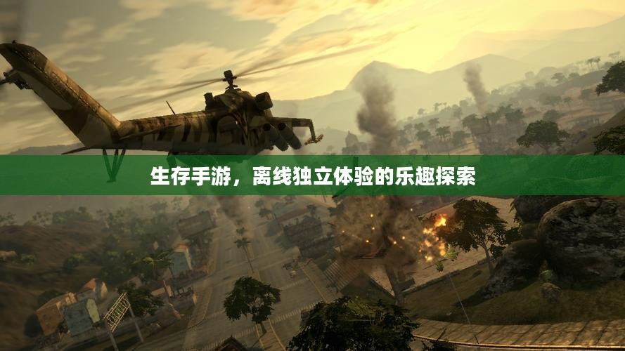 生存手游，离线独立体验的乐趣探索