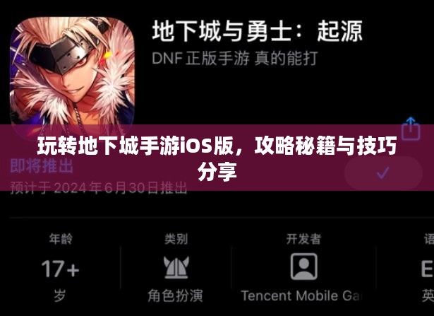 玩转地下城手游iOS版,攻略秘籍与技巧分享 玩转地下城手游iOS版,攻略秘籍与技巧分享