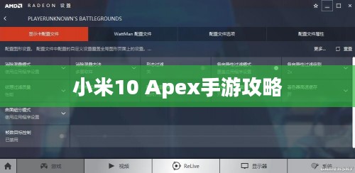 小米10 Apex手游攻略,优化设置与操作指南 小米10 Apex手游攻略,优化设置与操作指南