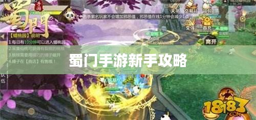 蜀门手游新手攻略，玩转蜀门，轻松上手！