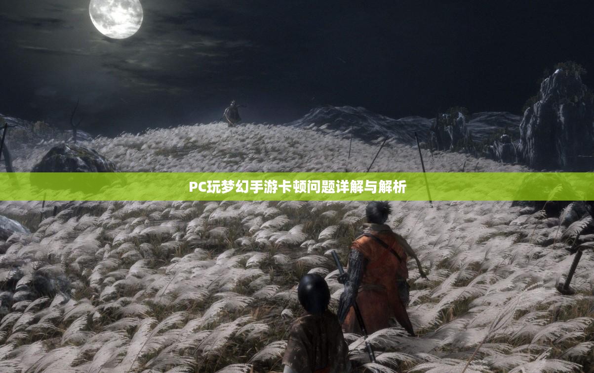 PC玩梦幻手游卡顿问题详解与解析