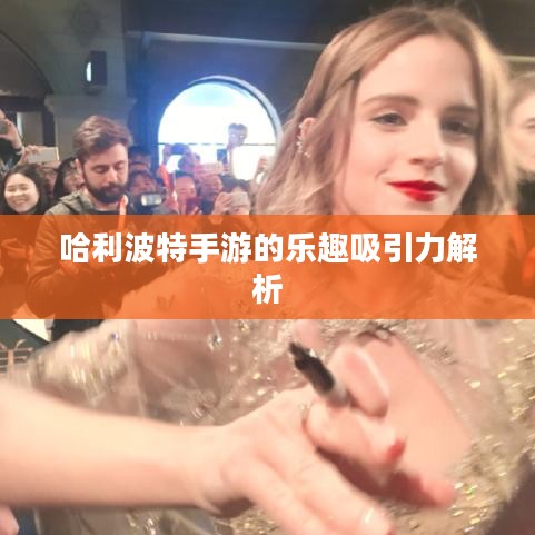 哈利波特手游的乐趣吸引力解析