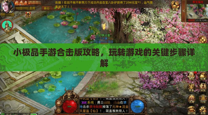 小极品手游合击版攻略,玩转游戏的关键步骤详解 小极品手游合击版攻略,玩转游戏的关键步骤详解
