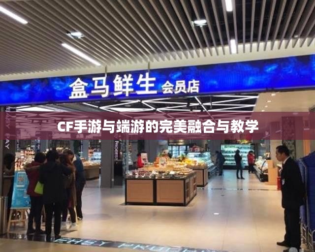 餐饮老师跨界游戏，CF手游与端游的完美融合与教学新篇章