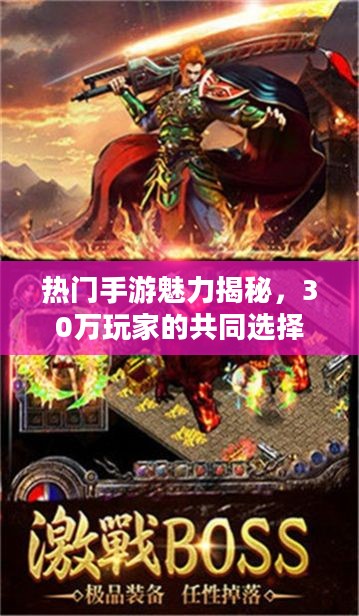 热门手游魅力揭秘,30万玩家的共同选择 热门手游魅力揭秘,30万玩家的共同选择