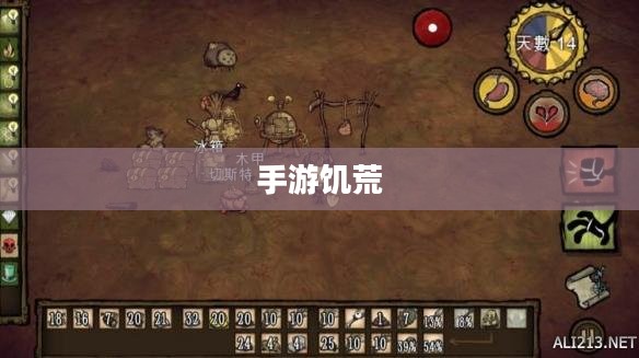 手游饥荒,长期生存的游戏提示与策略指南 手游饥荒,长期生存的游戏提示与策略指南