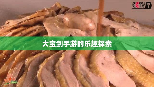 神秘世界探险之旅，大宝剑手游的乐趣探索