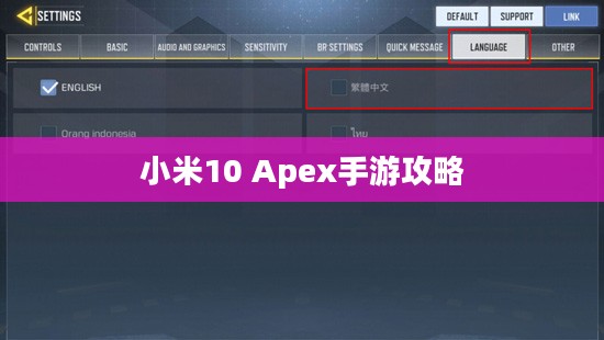 小米10 Apex手游攻略,优化设置与操作技巧全解析 小米10 Apex手游攻略,优化设置与操作技巧全解析